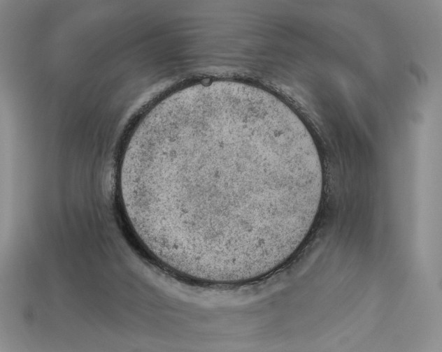 X0000112780016200909101621