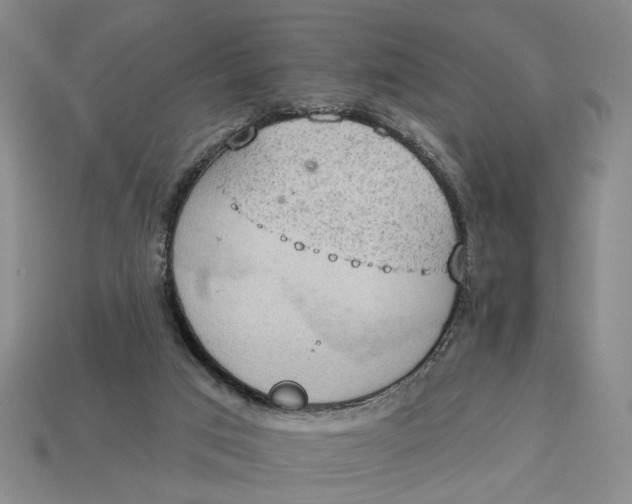 X0000112780017200909101621