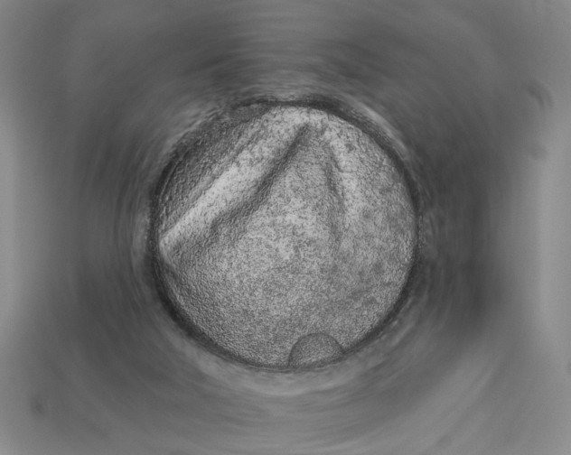 X0000112780018200909101621