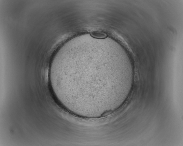 X0000112780019200909101621