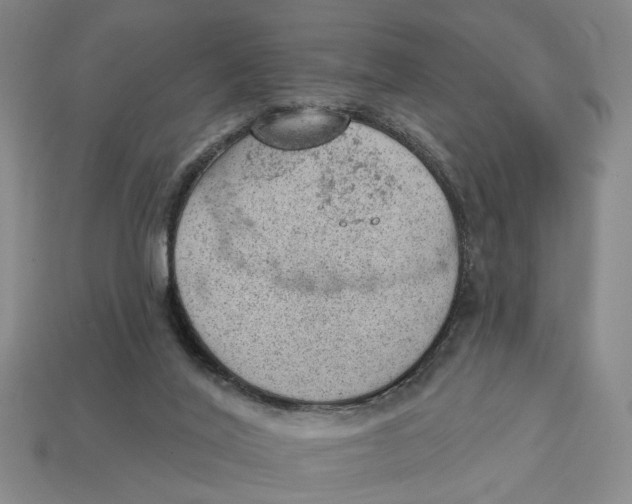 X0000112780020200909101621