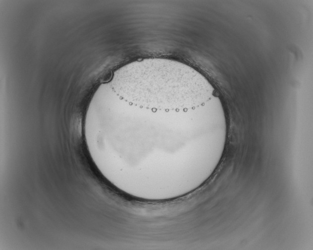 X0000112780021200909101621