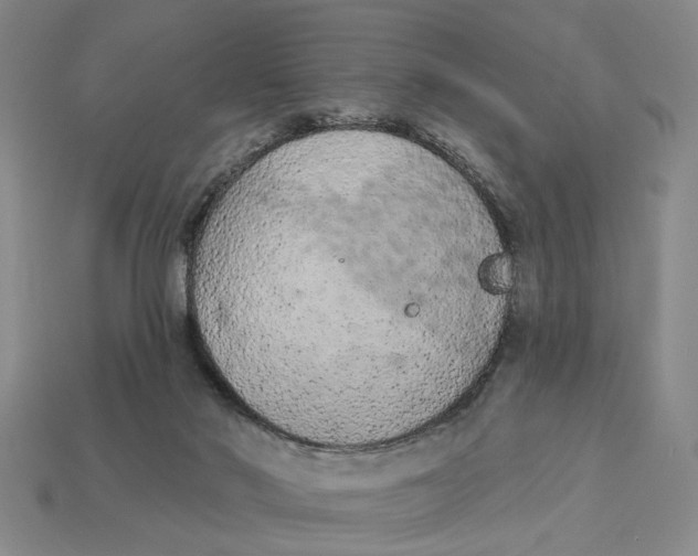 X0000112780022200909101621