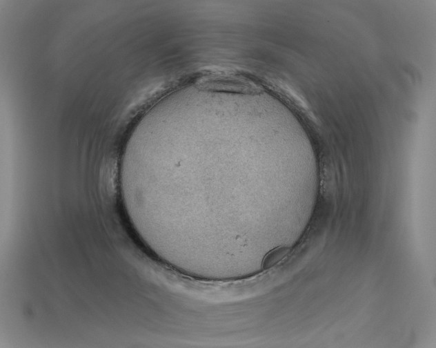 X0000112780023200909101621