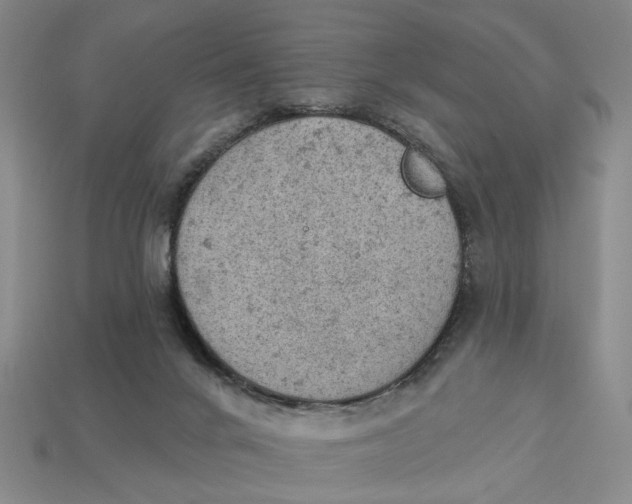 X0000112780024200909101621