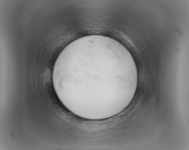 X0000112780025200909101621