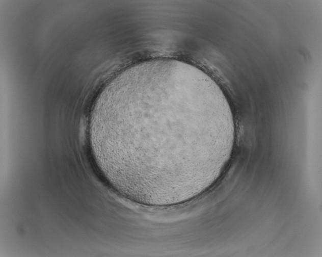 X0000112780026200909101621