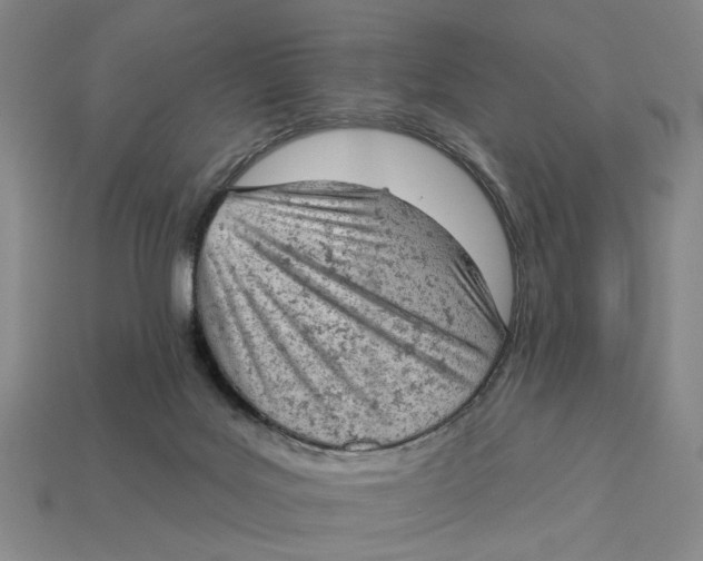 X0000112780027200909101621