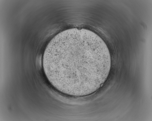 X0000112780028200909101621