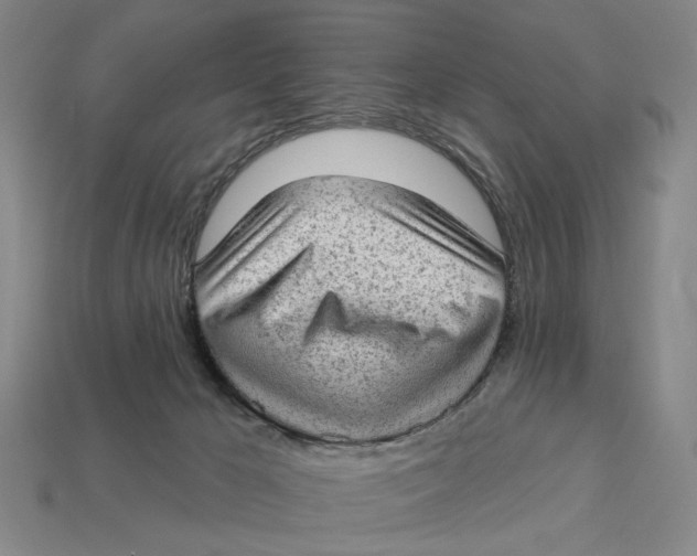 X0000112780029200909101621