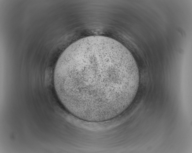 X0000112780030200909101621