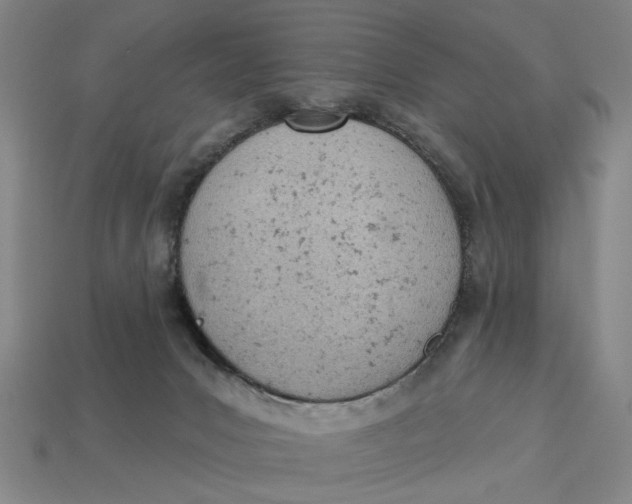 X0000112780031200909101621