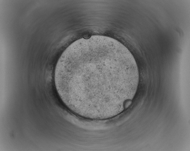 X0000112780032200909101621