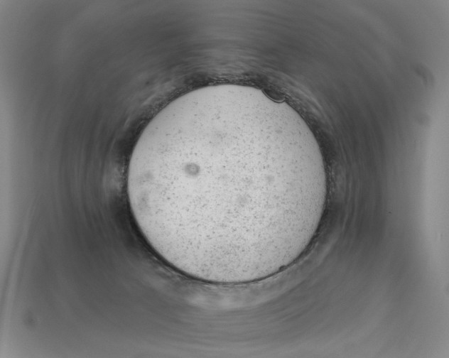 X0000112780033200909101621