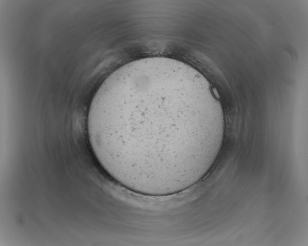 X0000112780035200909101621