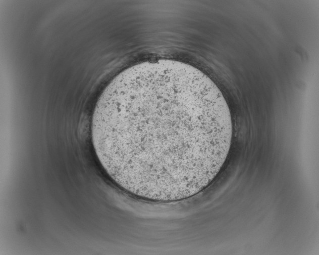 X0000112780036200909101621