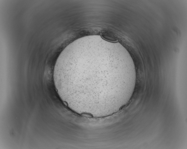 X0000112780037200909101621