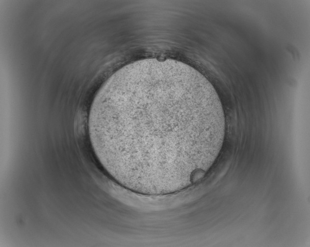 X0000112780038200909101621