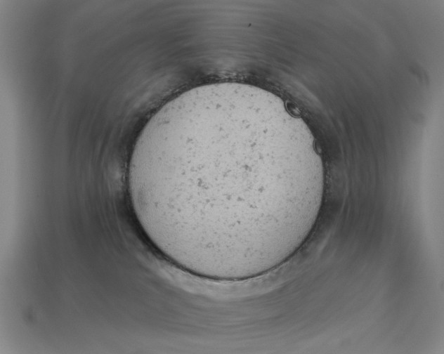 X0000112780039200909101621