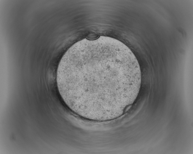 X0000112780040200909101621