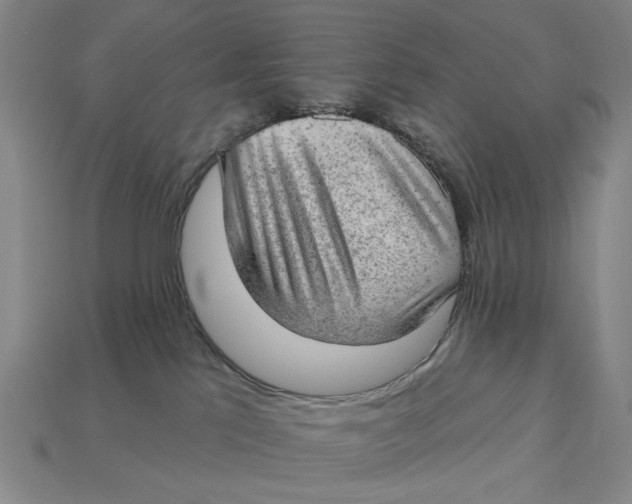 X0000112780041200909101621