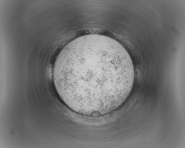 X0000112780042200909101621