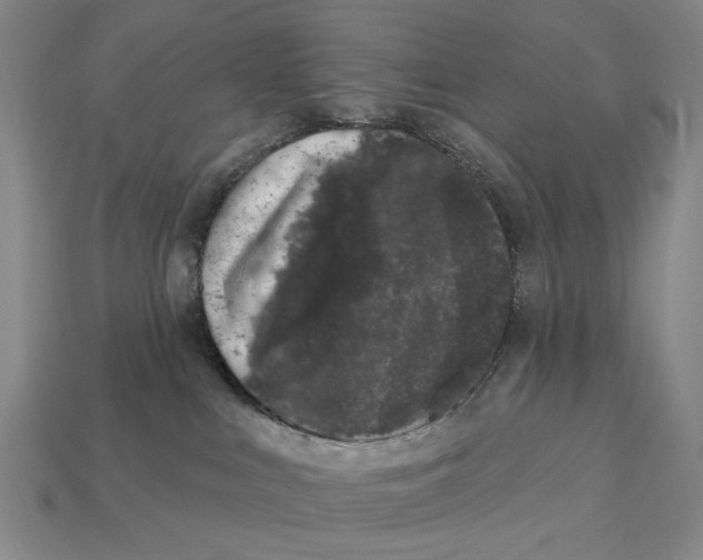 X0000112780043200909101621