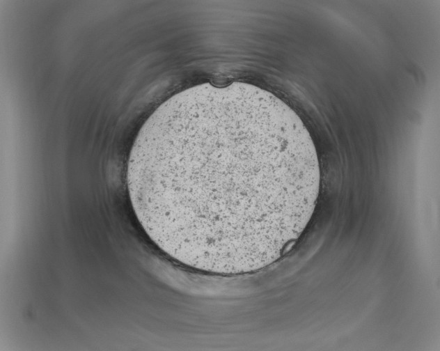 X0000112780044200909101621