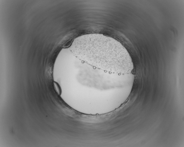 X0000112780045200909101621