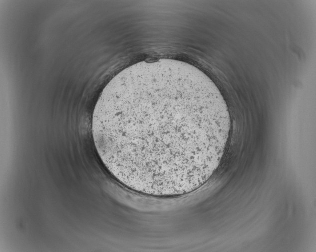 X0000112780048200909101621