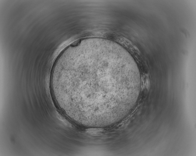 X0000112780051200909101620