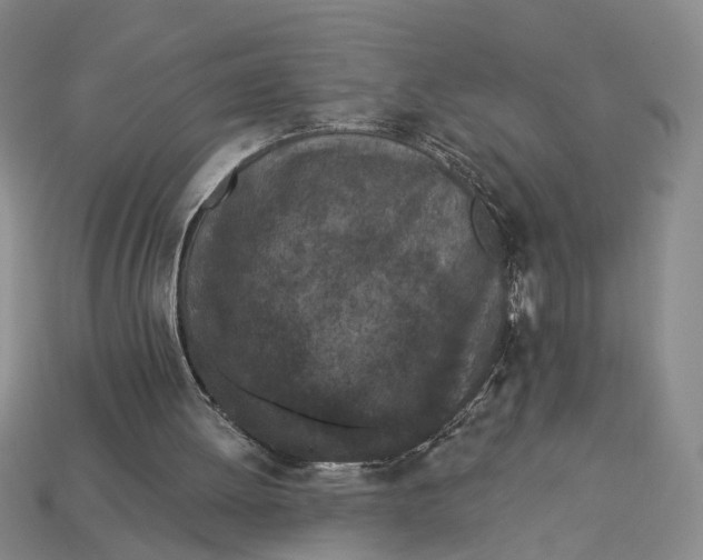 X0000112780052200909101620