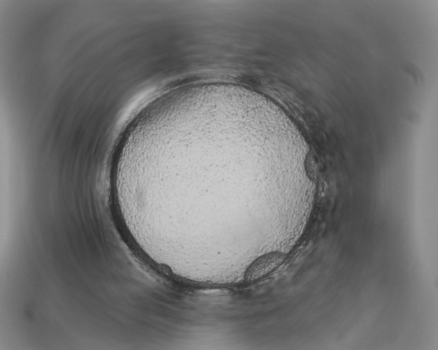 X0000112780053200909101621