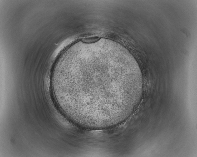 X0000112780054200909101621