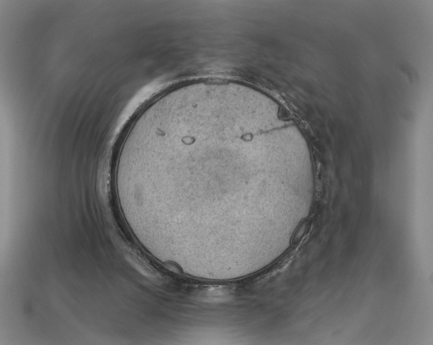 X0000112780056200909101621