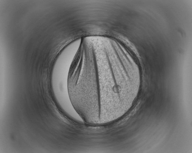 X0000112780057200909101621