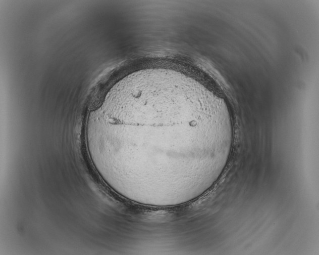 X0000112780058200909101621