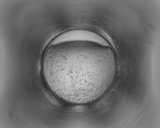 X0000112780059200909101621