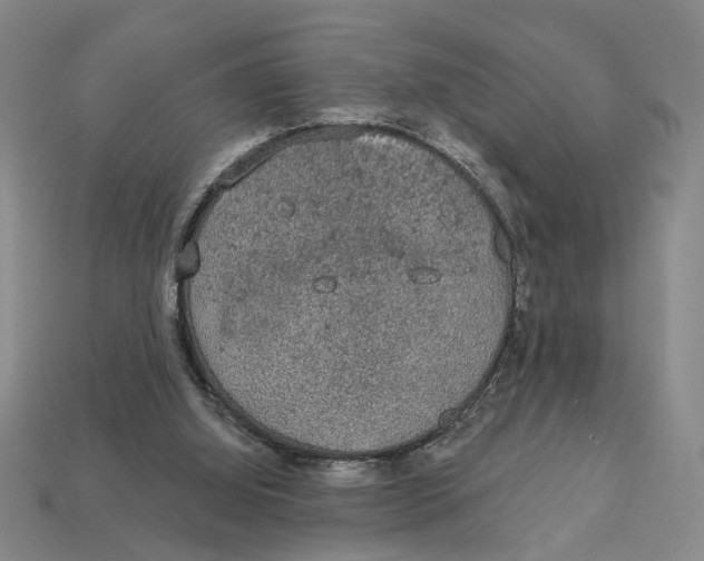 X0000112780060200909101621