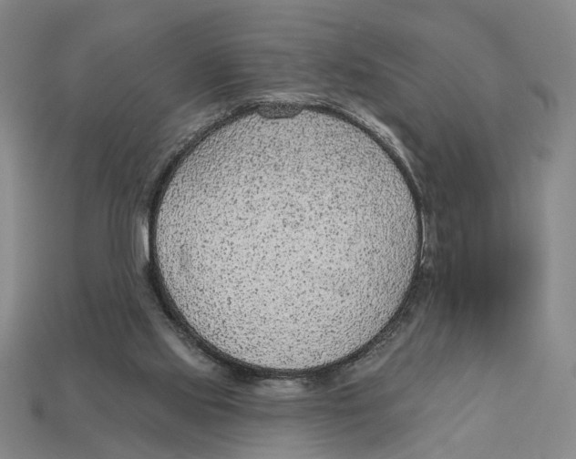 X0000112780061200909101621