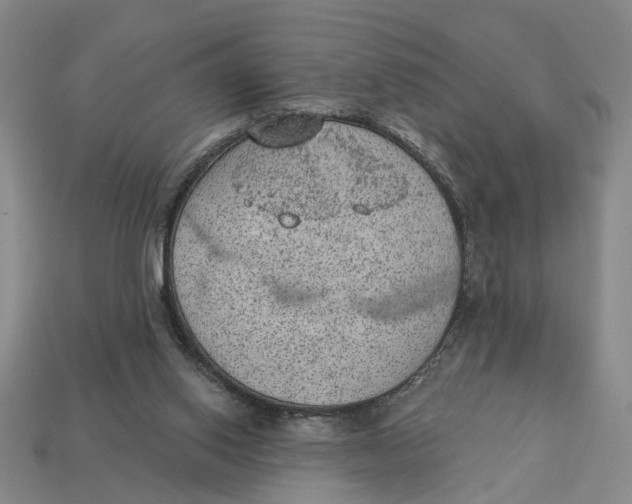 X0000112780062200909101621