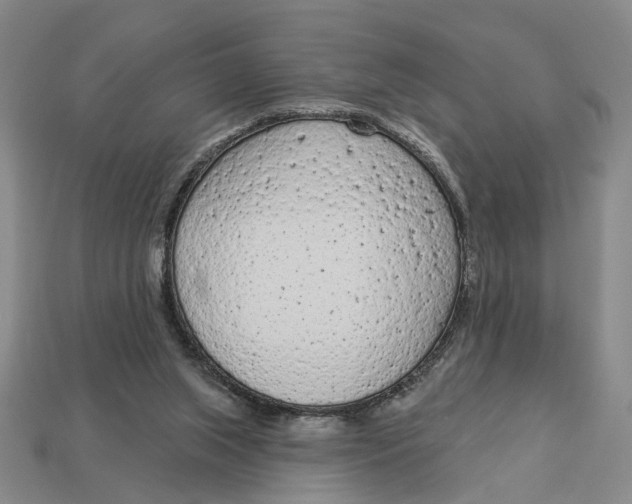 X0000112780063200909101621