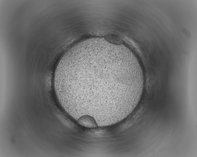 X0000112780065200909101621