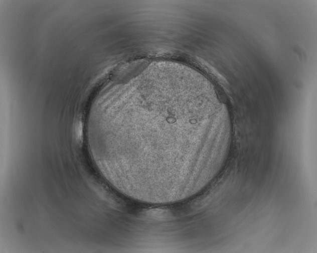 X0000112780067200909101621