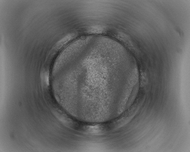 X0000112780068200909101621