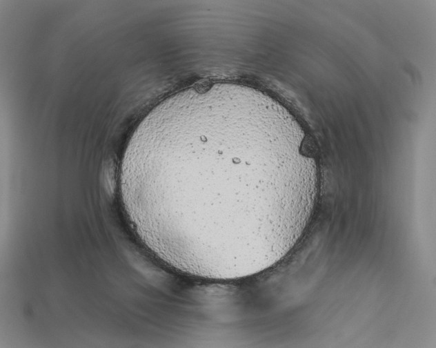 X0000112780069200909101621