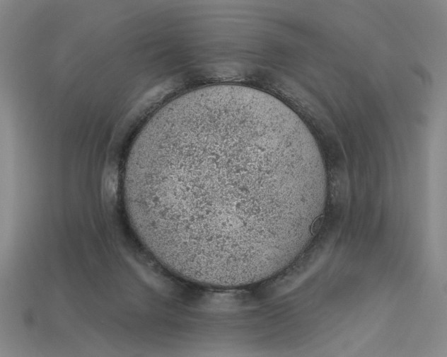 X0000112780072200909101621