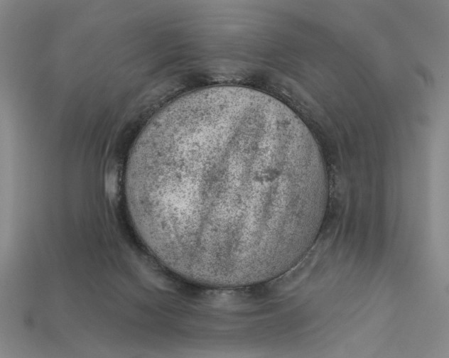 X0000112780074200909101621