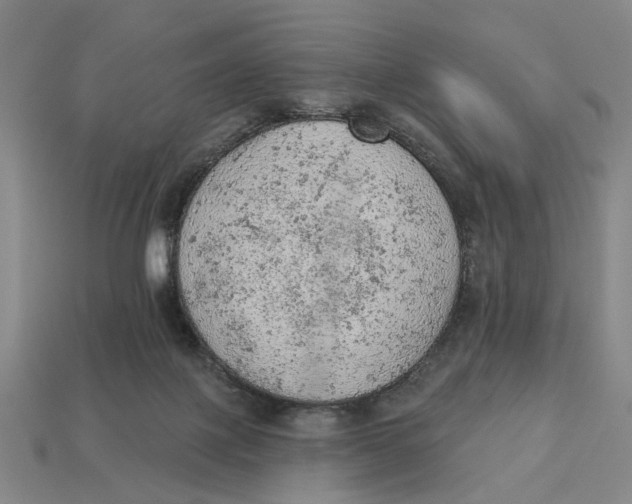 X0000112780075200909101621