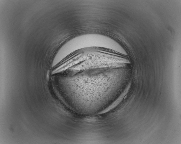 X0000112780076200909101621